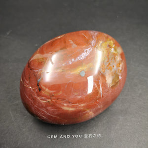 Petrified wood polished stone 79mm*61mm*39mm