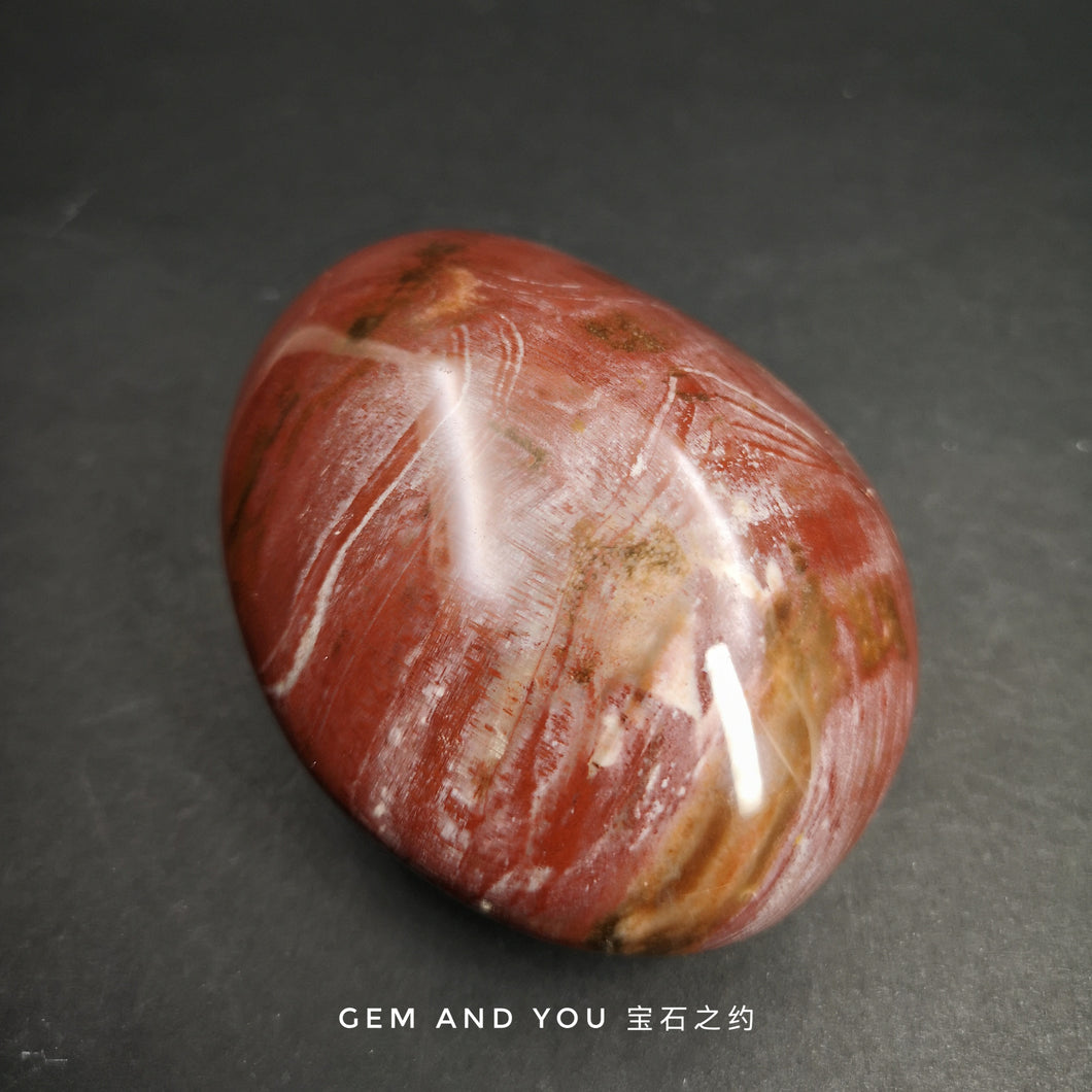 Petrified wood polished stone 79mm*61mm*39mm