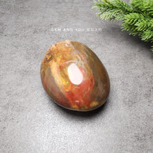 Load image into Gallery viewer, Petrified Wood Polished 77mm*59mm*40mm 木化石