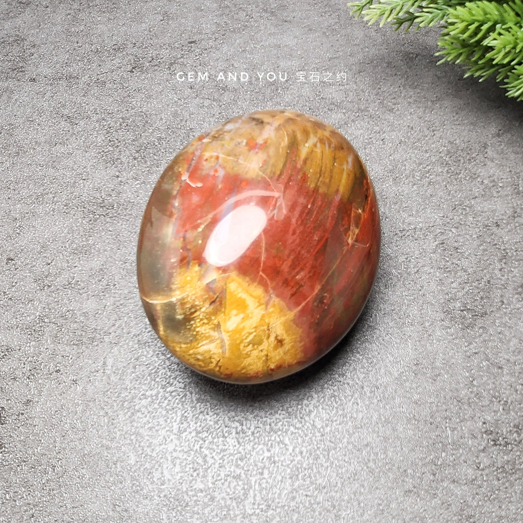 Petrified Wood Polished 77mm*59mm*40mm 木化石