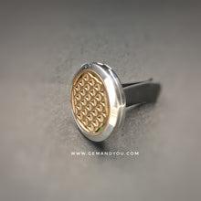 将图片加载到图库查看器中，不锈钢汽车吊坠30毫米-生命之花
