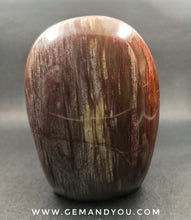 Load image into Gallery viewer, Petrified Wood Polished  110mm*79mm*50mm  731g