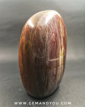 Load image into Gallery viewer, Petrified Wood Polished  110mm*79mm*50mm  731g