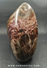 Load image into Gallery viewer, Petrified Wood Polished 118mm*85mm*67mm 938g