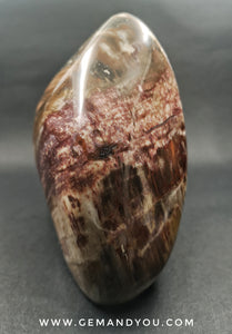 Petrified Wood Polished 118mm*85mm*67mm 938g