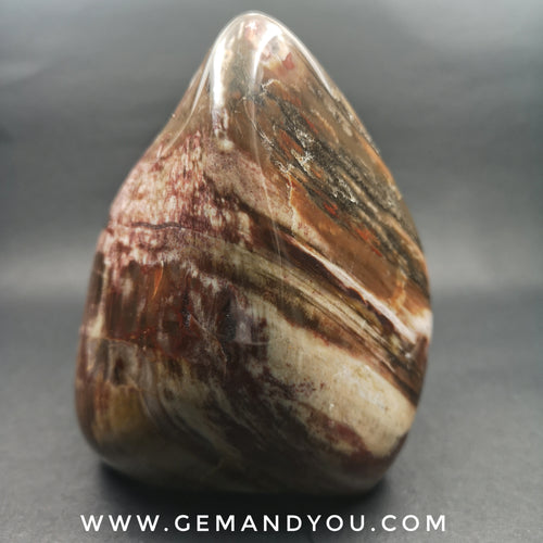Petrified Wood Polished 118mm*85mm*67mm 938g