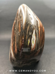 Petrified Wood Polished 118mm*85mm*67mm 938g