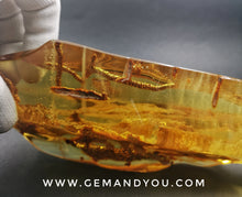 Load image into Gallery viewer, Amber Polished 183mm*73mm*30mm 191gram