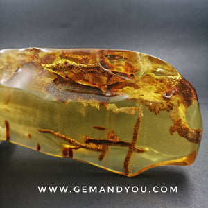 Amber Polished 183mm*73mm*30mm 191gram