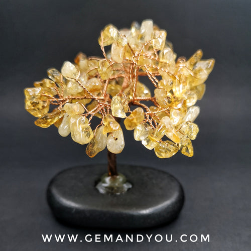 Citrine Tree (Lava Stone Base) H: 98mm W: 74mm D: 50mm