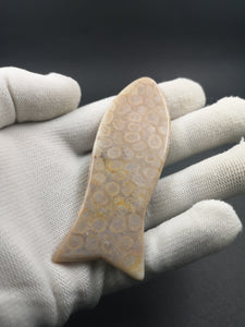 Fossillised Coral Gua Sha /Massage Slab Tool 84mm*30mm*4mm