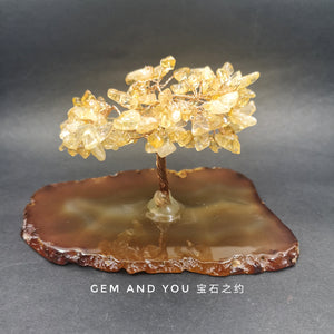 Citrine Tree (Agate Base) 143mm*84mm*80mm