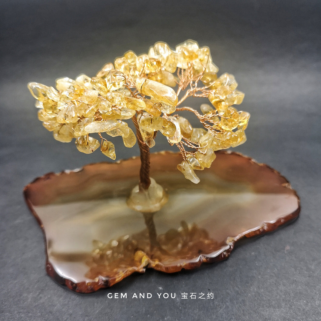 Citrine Tree (Agate Base) 143mm*84mm*80mm