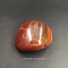 Load image into Gallery viewer, Petrified wood polished stone 61mm*51mm*32mm