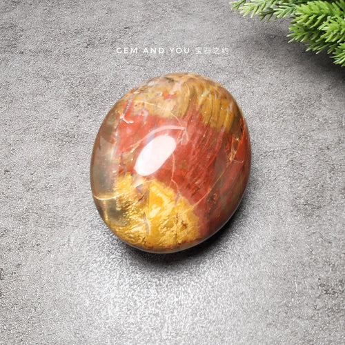 Petrified Wood Polished 77mm*59mm*40mm 木化石