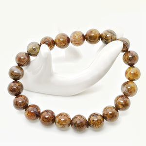 Pietersite Bracelet 10mm