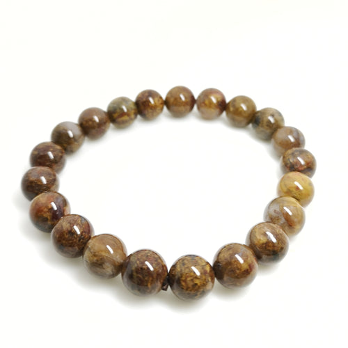 Pietersite Bracelet 10mm