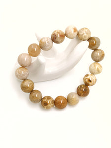 Fossilised Coral Bracelet 12mm