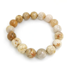 Load image into Gallery viewer, Fossilised Coral Bracelet 12mm