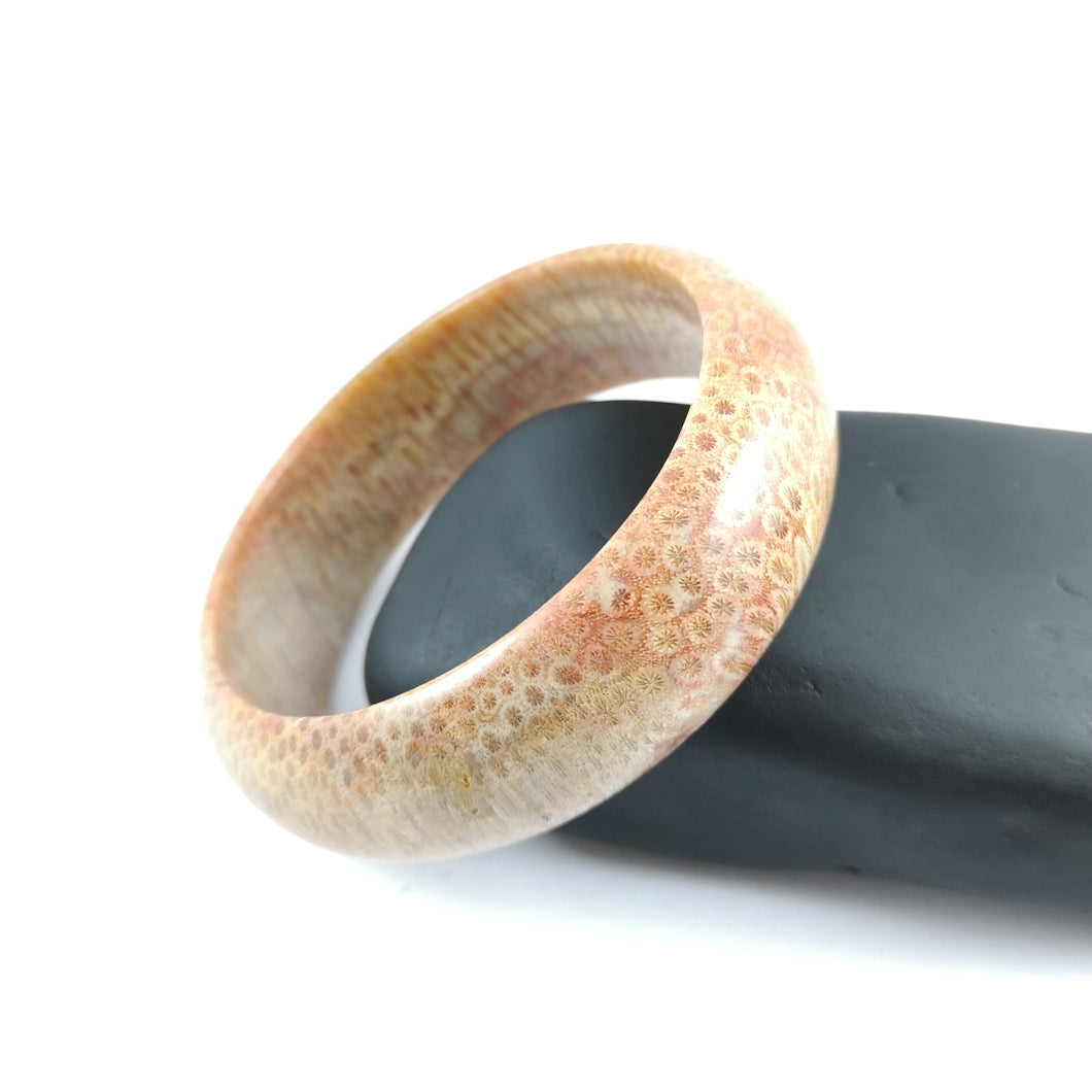 Fossillised Coral Bangle 62mm