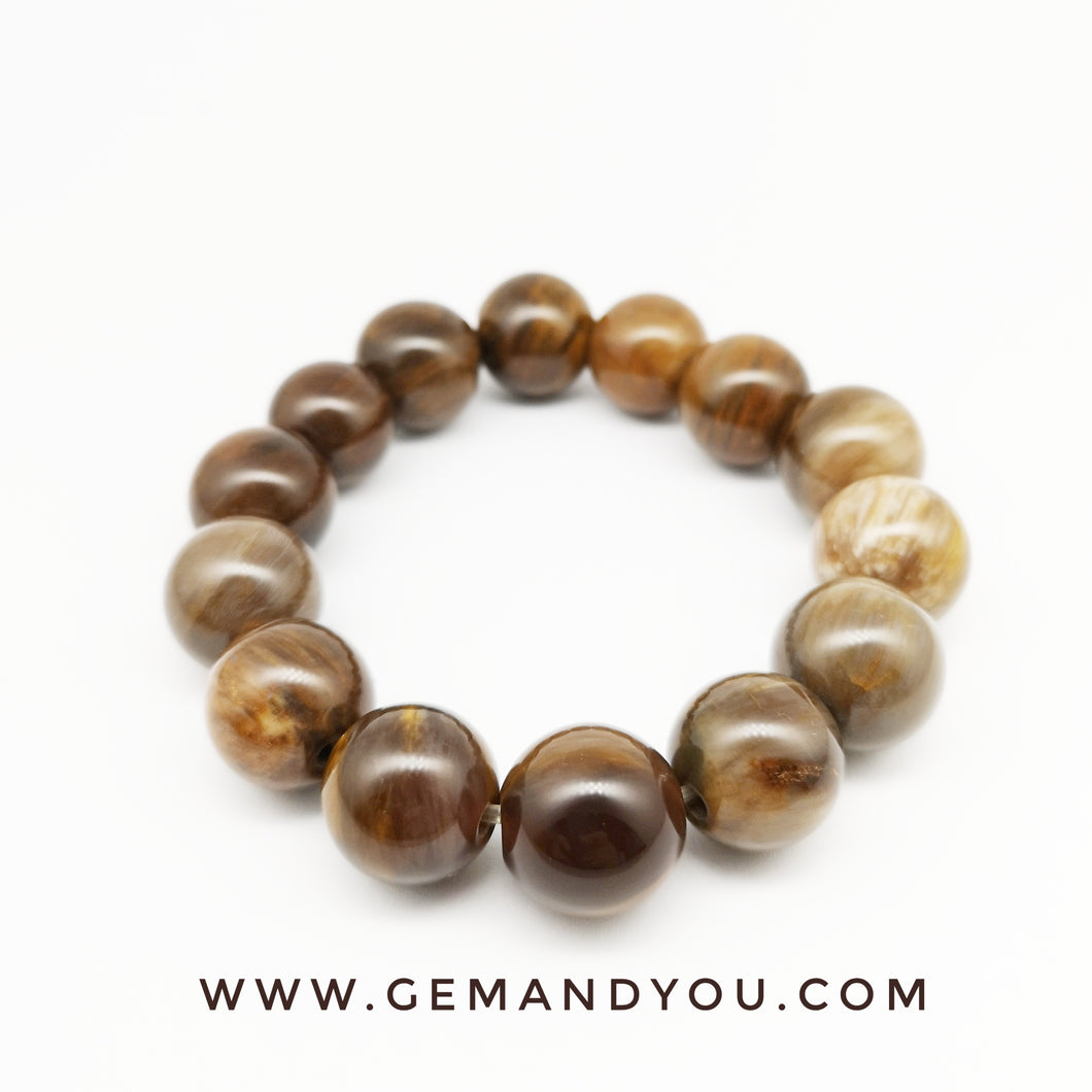 Petrified Wood Bracelet 15mm