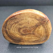 Load image into Gallery viewer, Raja Kayu Wood Slab 65mm*55mm*11mm