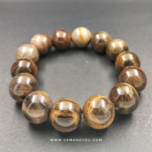 Load image into Gallery viewer, Petrified Wood Bracelet 17mm