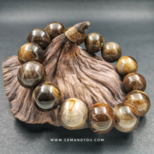 Load image into Gallery viewer, Petrified Wood Bracelet 17mm