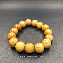 Load image into Gallery viewer, Fossillised Coral Bracelet 14mm