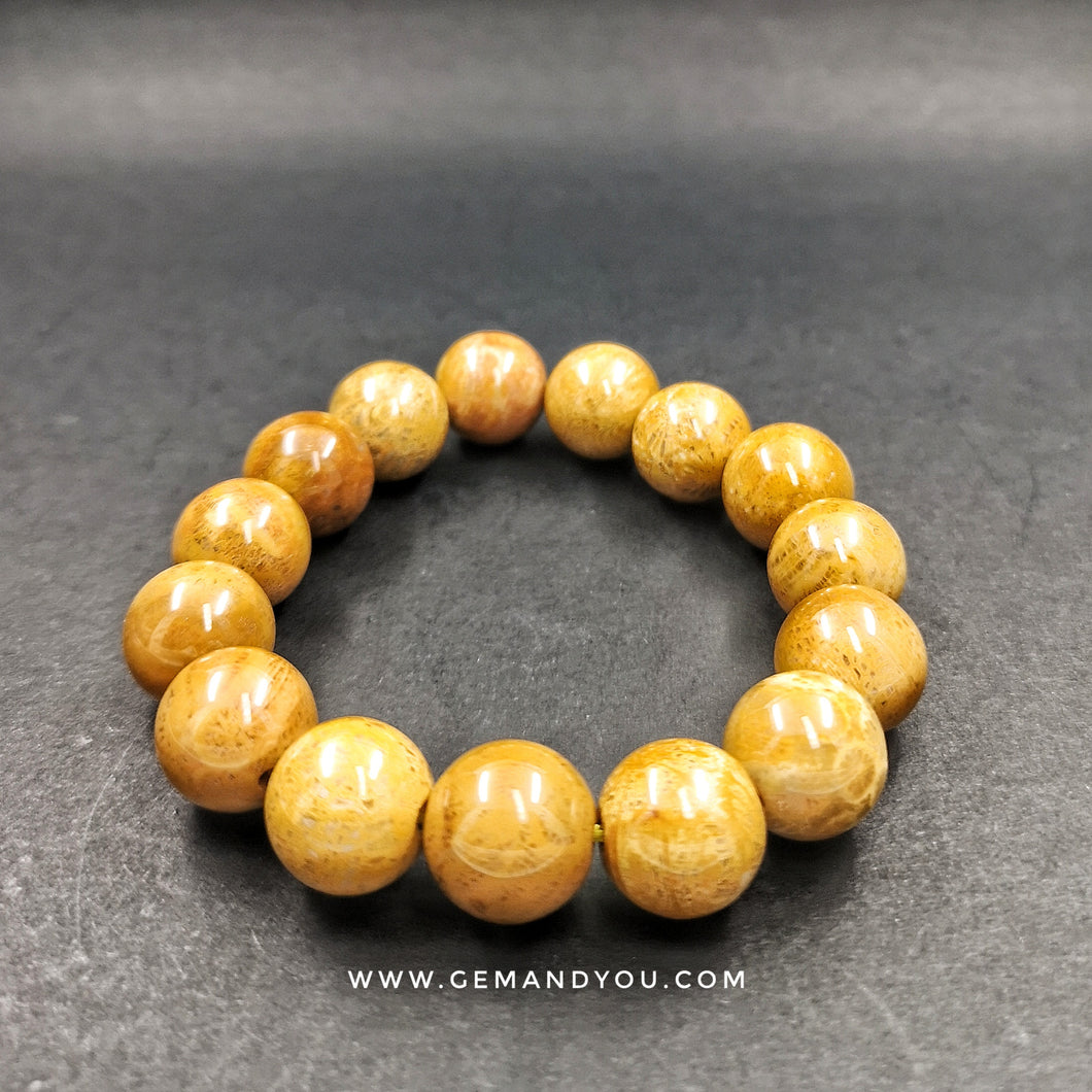 Fossillised Coral Bracelet 14mm