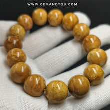 Load image into Gallery viewer, Fossillised Coral Bracelet 14mm