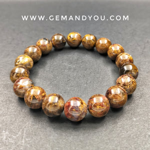 Pietersite Bracelet 12mm