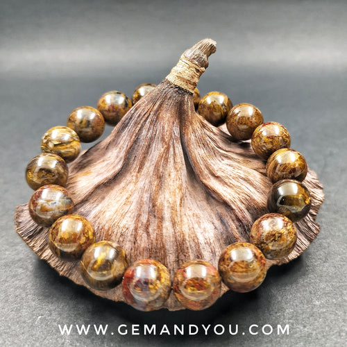 Pietersite Bracelet 12mm