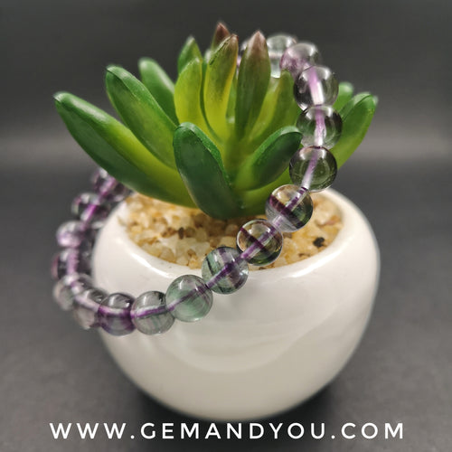 Multi-Coloured Fluorite Bracelet 8mm