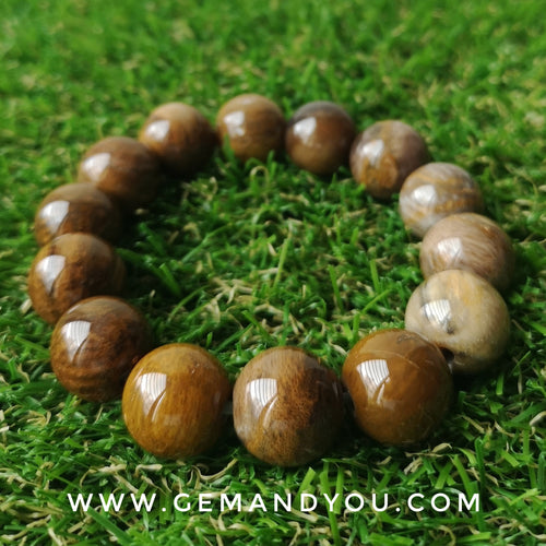 Petrified Wood Bracelet 16mm