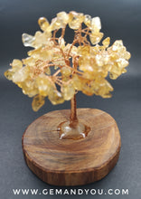 Load image into Gallery viewer, Citrine Tree (Raja Kayu Wood base) H:103mm W:82mm