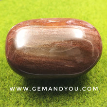 Load image into Gallery viewer, Petrified Wood Polished 63mm*49mm*34mm