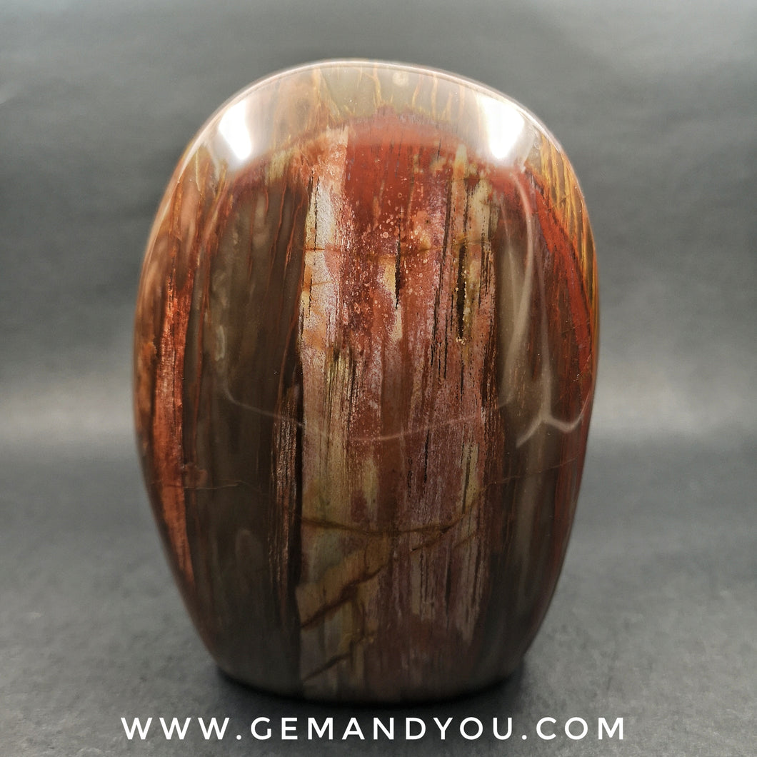 Petrified Wood Polished  110mm*79mm*50mm  731g
