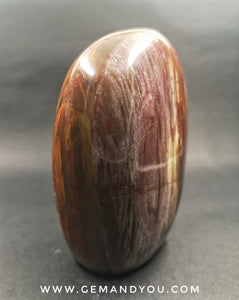Petrified Wood Polished  110mm*79mm*50mm  731g