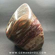 Load image into Gallery viewer, Petrified Wood Polished 118mm*85mm*67mm 938g