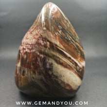 Load image into Gallery viewer, Petrified Wood Polished 118mm*85mm*67mm 938g