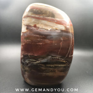 Petrified Wood Polished 145mm*91mm*84mm 1771g