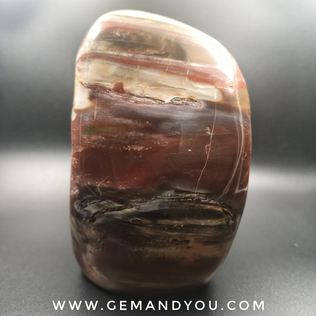 Petrified Wood Polished 145mm*91mm*84mm 1771g
