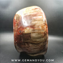 Load image into Gallery viewer, Petrified Wood Polished 145mm*91mm*84mm 1771g