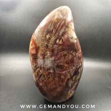 Load image into Gallery viewer, Petrified Wood Polished 145mm*91mm*84mm 1771g