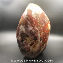 Load image into Gallery viewer, Petrified Wood Polished 145mm*91mm*84mm 1771g
