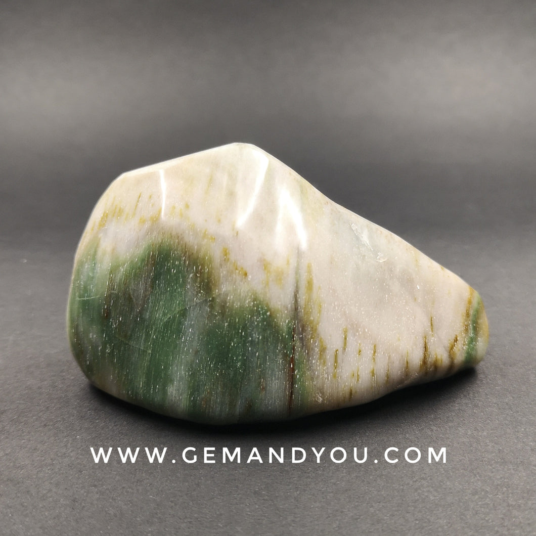 Green Petrified Wood Polished 85mm*47mm*29mm
