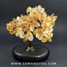 Load image into Gallery viewer, Citrine Tree (Lava Stone Base) H: 98mm W: 74mm D: 50mm