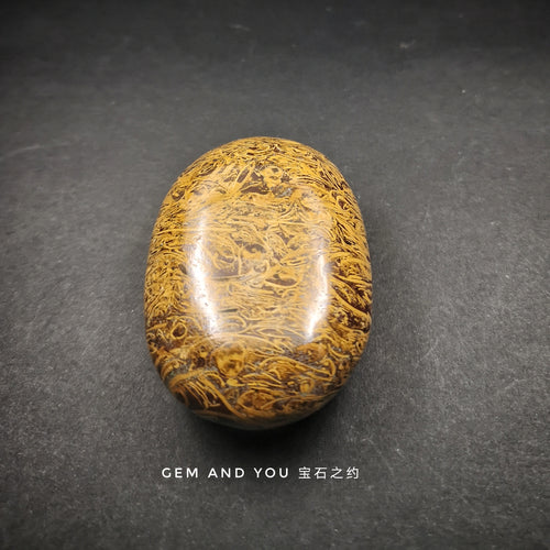 Camel Jasper polished palm stone 62mm*42mm*22mm